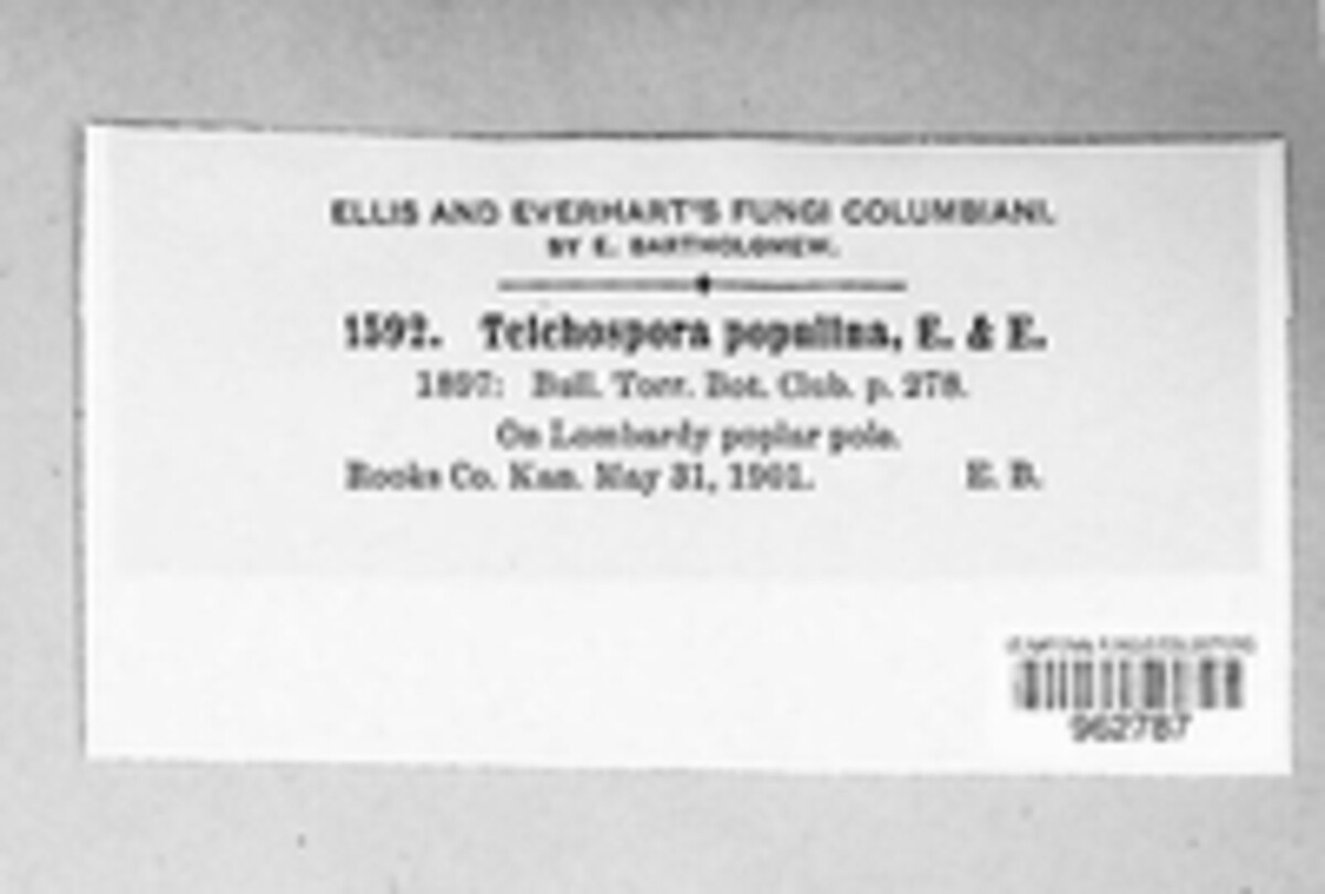 Strickeria populina image